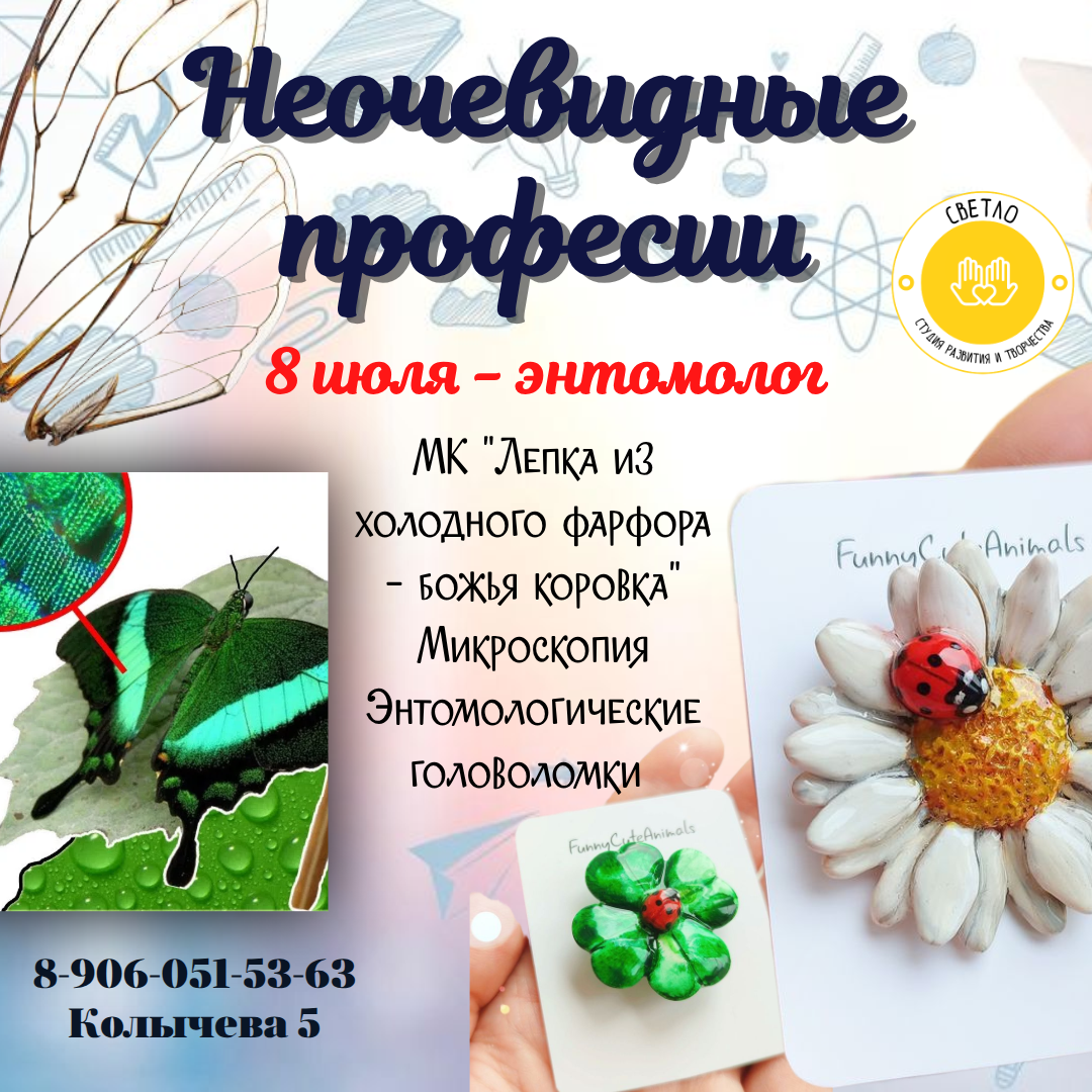 Среда